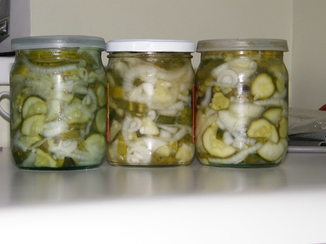 agurkų mišrainė su svogūnais žiemai