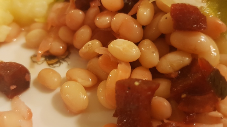 pupeliu_ir_burokeliu_misraine_ziemai_1_