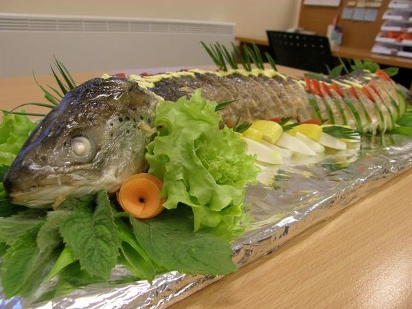 žuvies patiekalai kūčioms